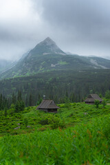 Fototapeta na wymiar High Tatras have nice huge mountains with sharp peaks. Fresh green after rain makes a moody day in Tatry Wysokie. Poland landscape and nature. Hala Gasienicowa is scenic place for this national park.