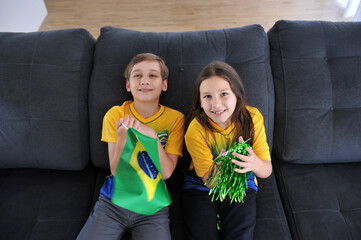 juntos  comemorando gol brasil copa do mundo vitória feliz  © Alexandre