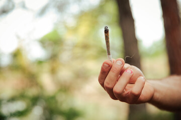 Close-up of a hand holding a marijuana cigarette in a forest