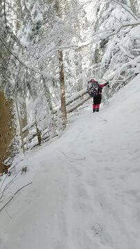 A man with a backpack takes pictures on his phone of a winter forest in the mountains . Vertical Video.