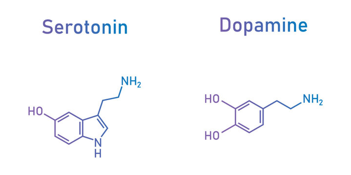 Dopamine and serotonin molecular structure. Scientific vector illustration isolated on white background.