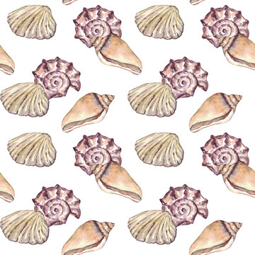Watercolor sea shell seamless pattern. Hand drawn seashells texture vintage ocean background.