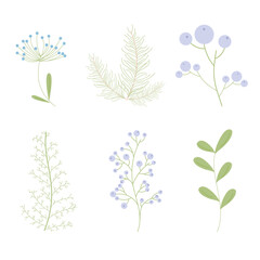 Plant collection of hand drawing. Hand drawing of flowers