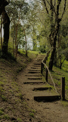 Harnecker park 3