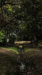 Harnecker park 2