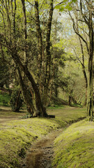 Harnecker park
