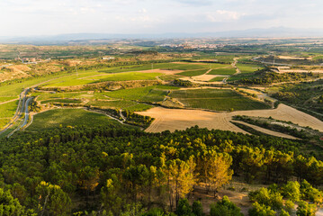 Aerial view of vineyards in La Rioja Region in Spain