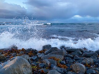 Ocean in Iceland 