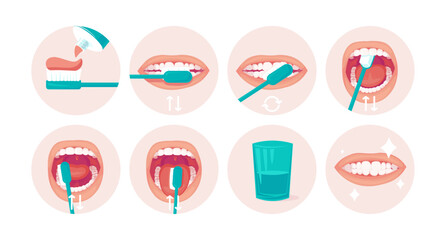 Instructions for proper brushing of teeth. Step-by-step guide for children
