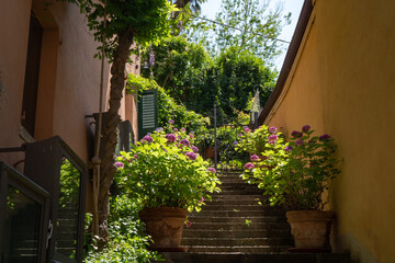 Fragrant garden with pink hortensia in the big pots and stairs on one of the narrow streets in...