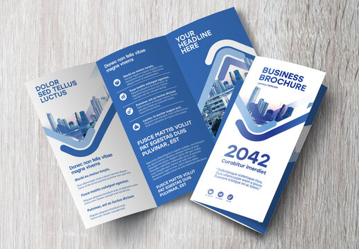 Blue and White Line Brochure Layout