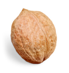 Collection of Walnut and a cracked walnut isolated on the white background