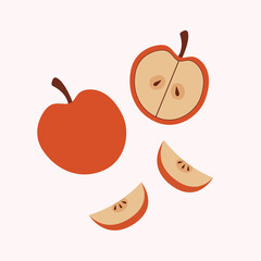 Different parts of apples vector set icon.Whole apple, slices and apple seeds design elements isolated on white background.