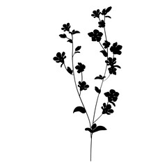 Wild Flower Silhouette. Hand Drawn Floral Illustration