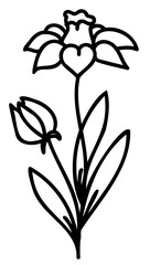 Line art flowers set. Collection of black and white thin linear flowers. Decorative illustrations, contour floral set. PNG with transparent background.