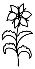 Line art flowers set. Collection of black and white thin linear flowers. Decorative illustrations, contour floral set. PNG with transparent background.