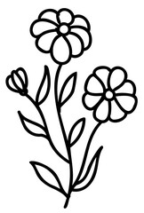 Line art flowers set. Collection of black and white thin linear flowers. Decorative illustrations, contour floral set. PNG with transparent background.