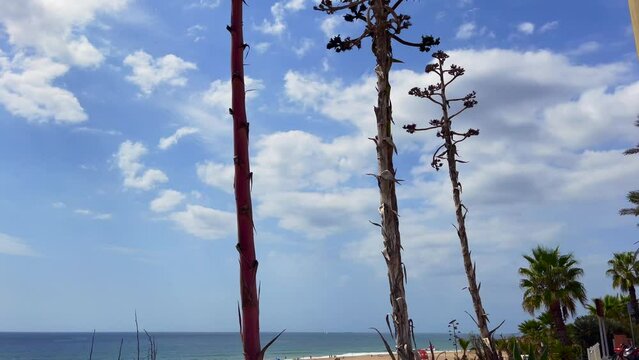 People enjoying their time on the beach in Carcavelos, Portugal
