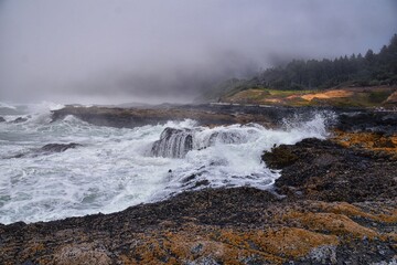 Cape Perpetua Crashing Waves and Tide Pools Oregon Coast fog views by Thor's Well and Spouting Horn on Captain Cook Trail. USA.