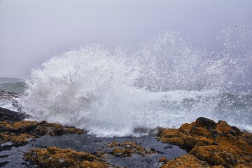 Cape Perpetua Crashing Waves and Tide Pools Oregon Coast fog views by Thor's Well and Spouting Horn on Captain Cook Trail. USA.