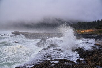 Cape Perpetua Crashing Waves and Tide Pools Oregon Coast fog views by Thor's Well and Spouting Horn on Captain Cook Trail. USA.