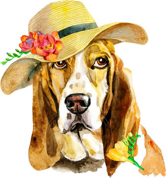 Basset Hat Images Browse 595 Stock Photos Vectors and Video