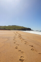Walkers Road at Gerroa. South Coast Gerringong New South Wales Australia 