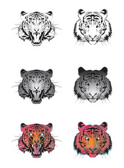 Illustration of the Tiger face