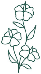 Floral line art linear botanical design element. Flower drawings with thin line. Collection of blooming hand drown flower, contour drawing. PNG with transparent background.