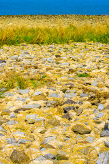 Beautiful coastal dike landscape panorama water stones fields forest Germany.