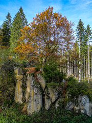 Naturdenkmal Blauer Stein im Schwarzwald auf dem dem Weitwanderweg Querweg von Freiburg zum Bodensee - 543276993