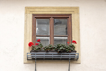 A window with wooden frames, red flowers on the windowsill.