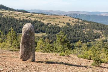 Menhir au cham des Bondons