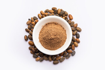 Jamalgota or Jayapala - Croton tiglium seed is an Ayurvedic medicine also known as purging croton © StockImageFactory