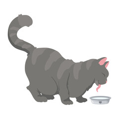 cute cat eating