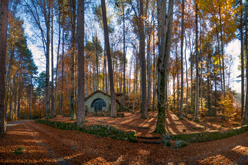 Fototapete bei efototapeten.de bestellen   