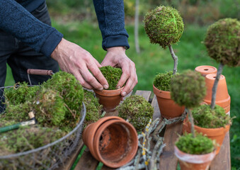 Fototapete bei efototapeten.de bestellen   