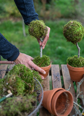 Fototapete bei efototapeten.de bestellen   