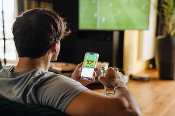 Back view of man watching football match and making bets at bookmaker's website in front of TV screen