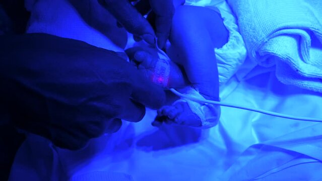 Parent gently touching fragile newborn in neonatal incubator