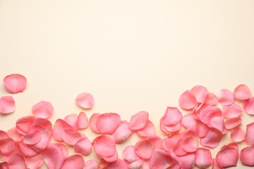 Fototapeta na wymiar Beautiful pink rose flower petals on beige background, flat lay. Space for text