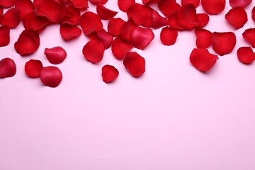 Beautiful red rose flower petals on pink background, flat lay. Space for text