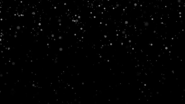 Flickering snow circles falling down on clean black copy space background. Looped animation.	 
