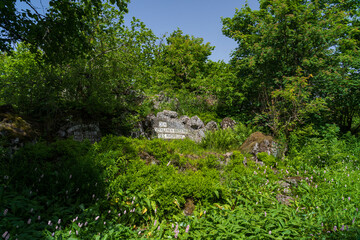 Das Naturschutzgebiet Lange Rhön in der Kernzone des Biosphärenreservat Rhön, Bayerischen Rhön, Landkreis Rhön-Grabfeld, Unterfranken, Bayern, Deutschland