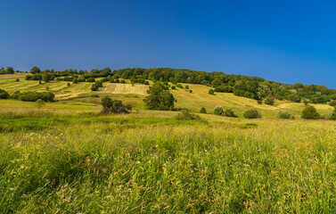 Das Naturschutzgebiet Lange Rhön in der Kernzone des Biosphärenreservat Rhön, Bayerischen Rhön, Landkreis Rhön-Grabfeld, Unterfranken, Bayern, Deutschland