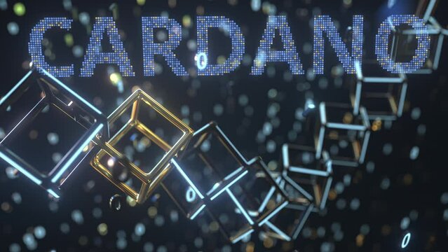 CARDANO text and cubic chain and binary numbers