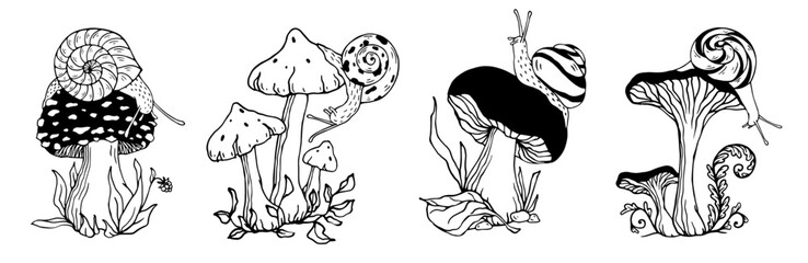 Linear sketch set of mushrooms with plants and creeping snail. Stylized vector graphics of forest flora and fauna. © Катерина Якубович