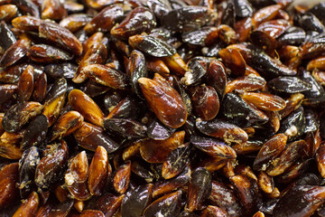 Fresh sea mussels on the counter at the fish market.