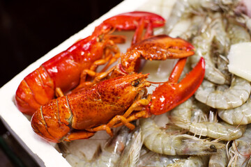 Fresh sea crayfish, shrimps on the market counter closeup