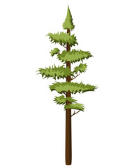 Tall Pine tree in realistick style. Evergreen forest coniferous spruce tree.